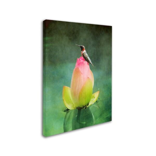 Jai Johnson 'Hummingbird And The Lotus Flower' Canvas Art,18x24